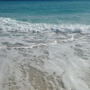 Meet your Posher, Dave n amy